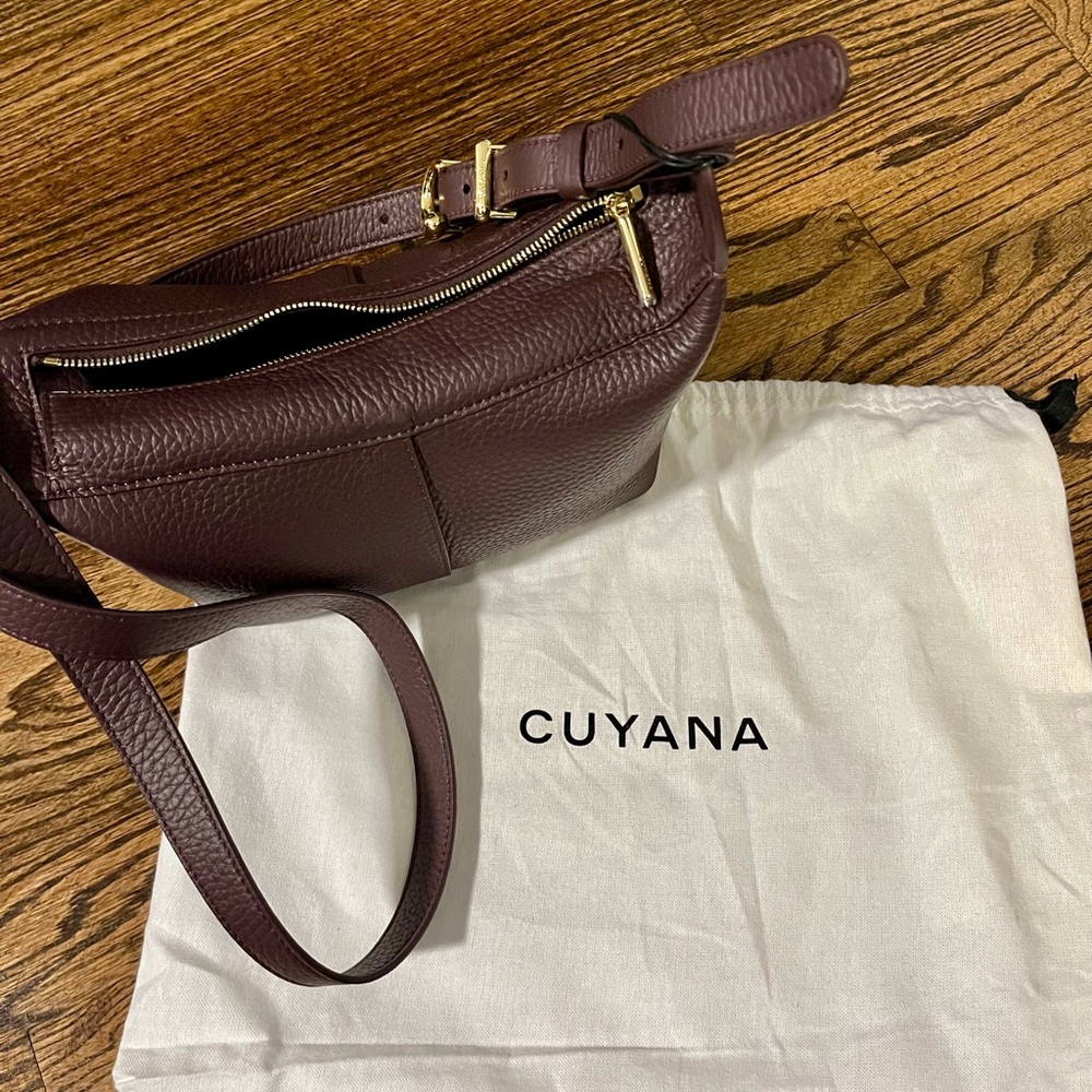 Cuyana Plum Mini Paloma Bag